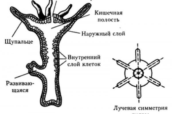 Kra28at