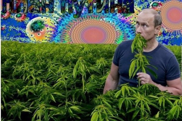 Даркнет зеркало