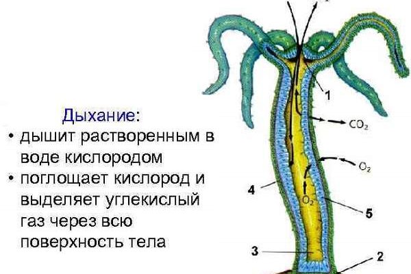 Кракен наркомаркетплейс