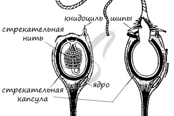Сайт кракен 24